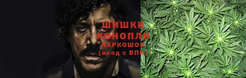 Конопля THC 21%  купить  сайты  Ревда 